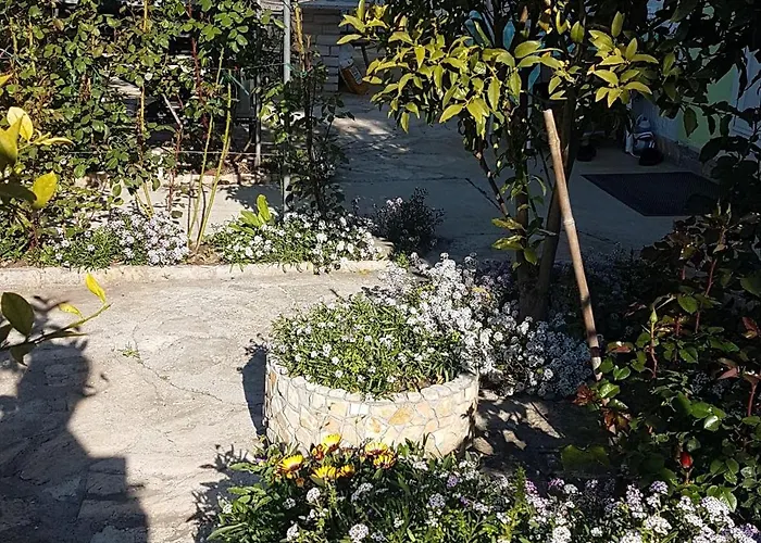 Apartmán 16759a Sveti Filip i Jakov